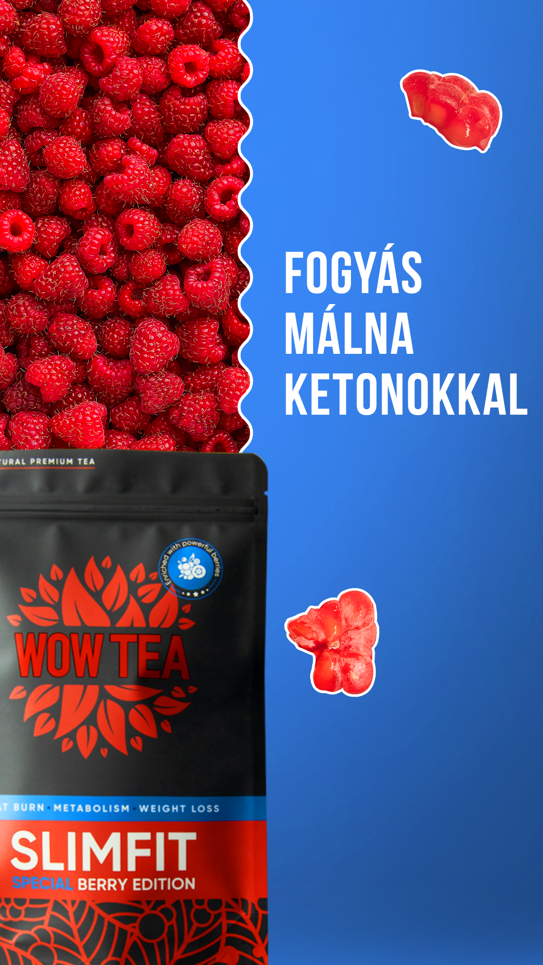 The Biofit Blog Facebook ad