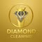 Diamond Carpet Cleaning