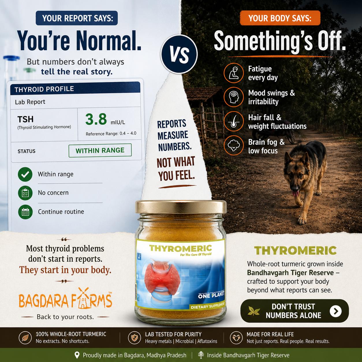 Bagdara Farms India Facebook ad: TSH Is Fine. Then Why Don’t You Feel Fine?