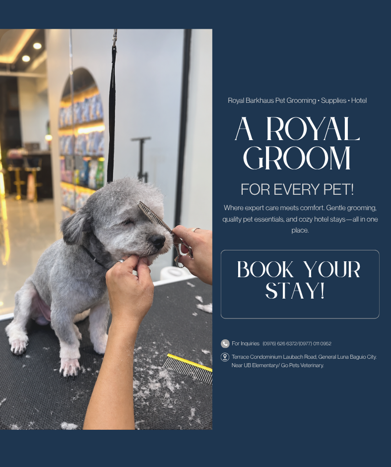 Royal BarkHaus - Baguio City Facebook ad: ๐ฃ๐๐ง ๐๐ฅ๐ข๐ข๐ ๐๐ก๐ โข ๐ฆ๐จ๐ฃ๐ฃ๐๐๐๐ฆ โข ๐๐ข๐ง๐๐