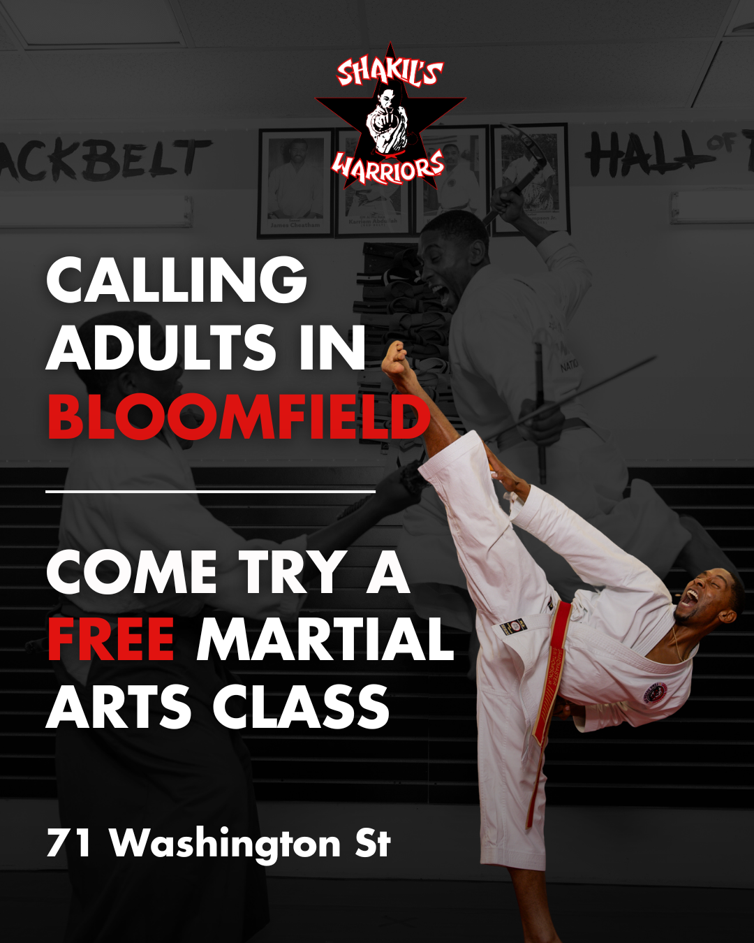 Shakil's School of Martial Arts Karate Organization, LLC Facebook ad