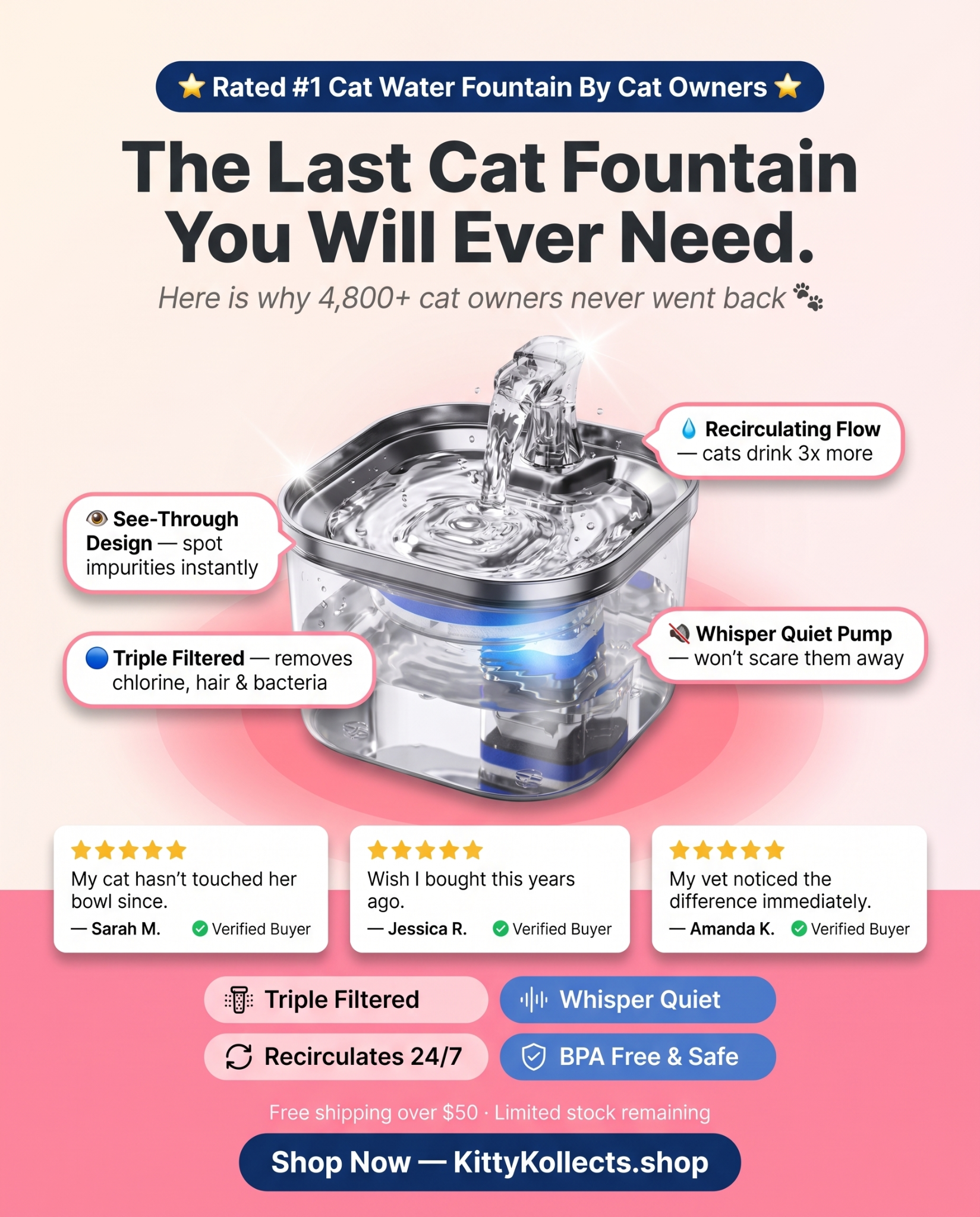 KittyKollects Facebook ad from Aug 6, 2026