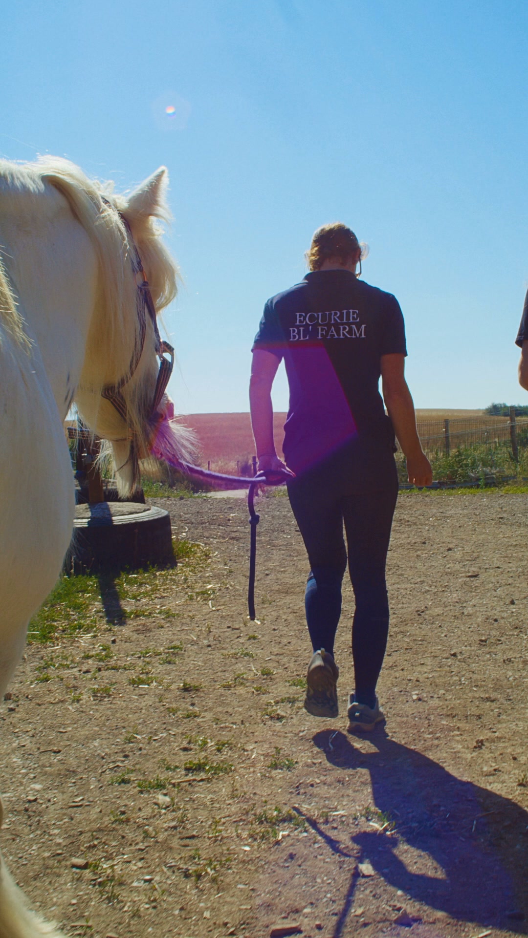 Cura naturale Facebook ad: Formulé pour la peau du cheval