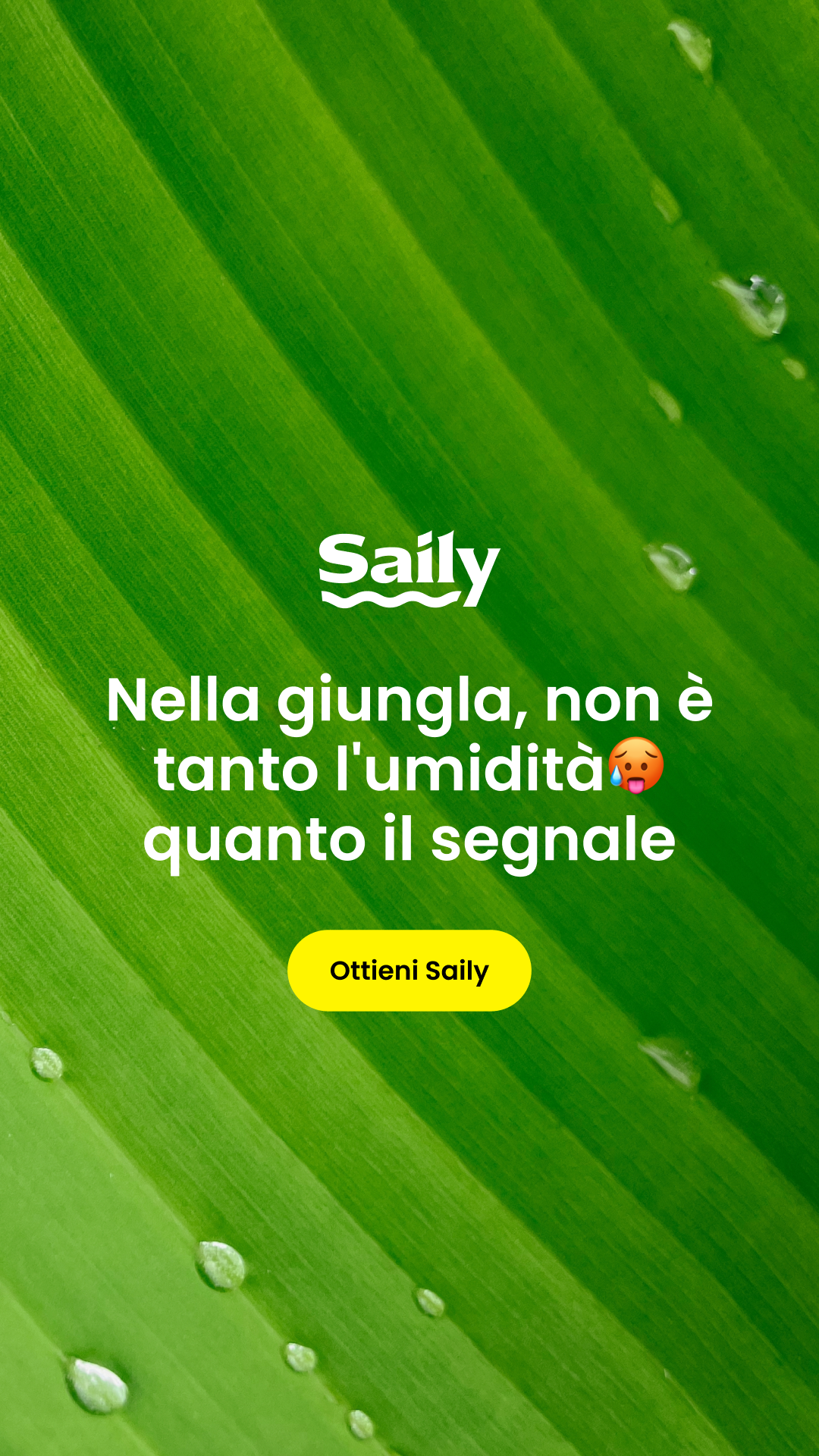 Saily Facebook ad