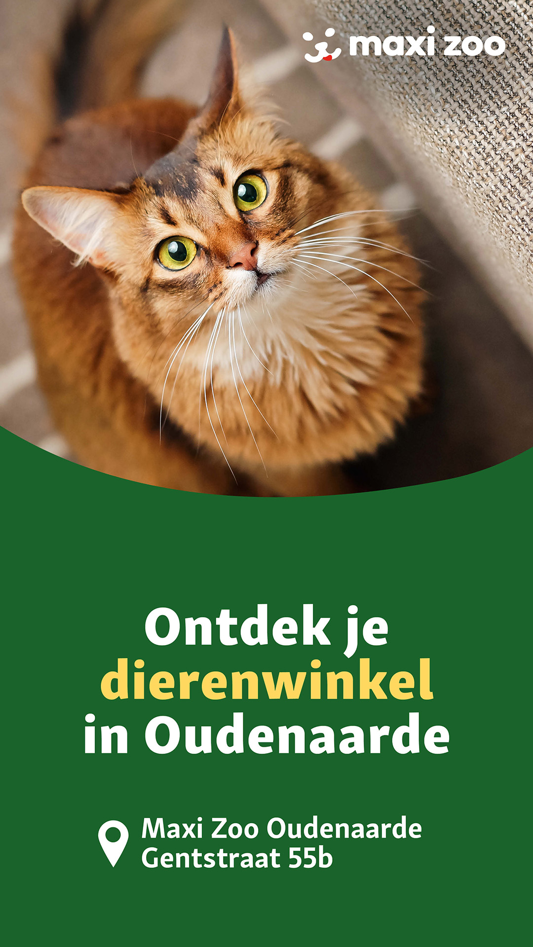 Maxi Zoo Belgium Facebook ad from Feb 1, 2026
