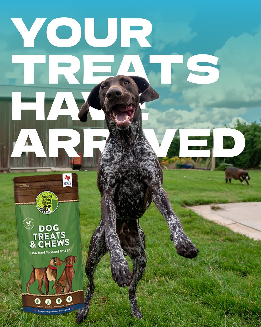 Sancho & Lola's Closet Facebook ad: Upgrade Your Dog’s Treats