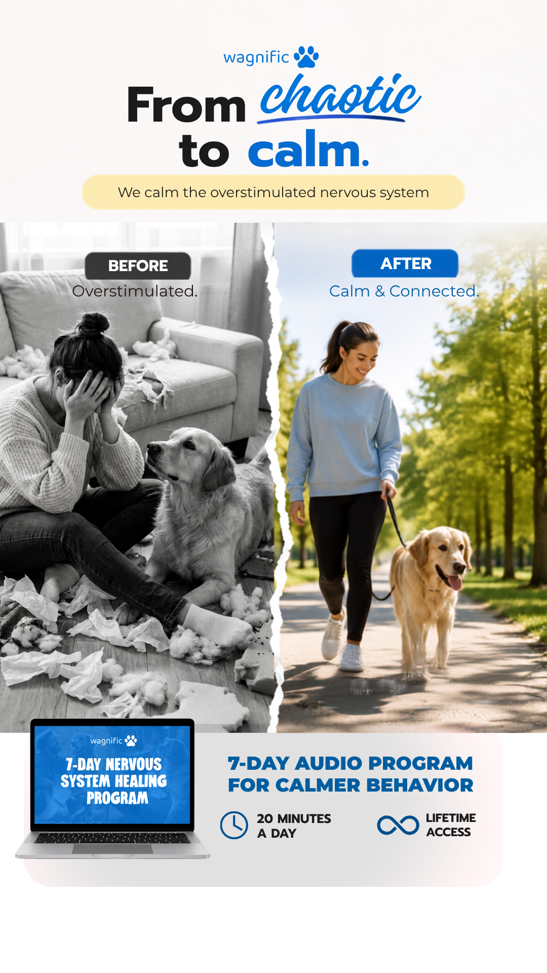 Wagnific Facebook ad