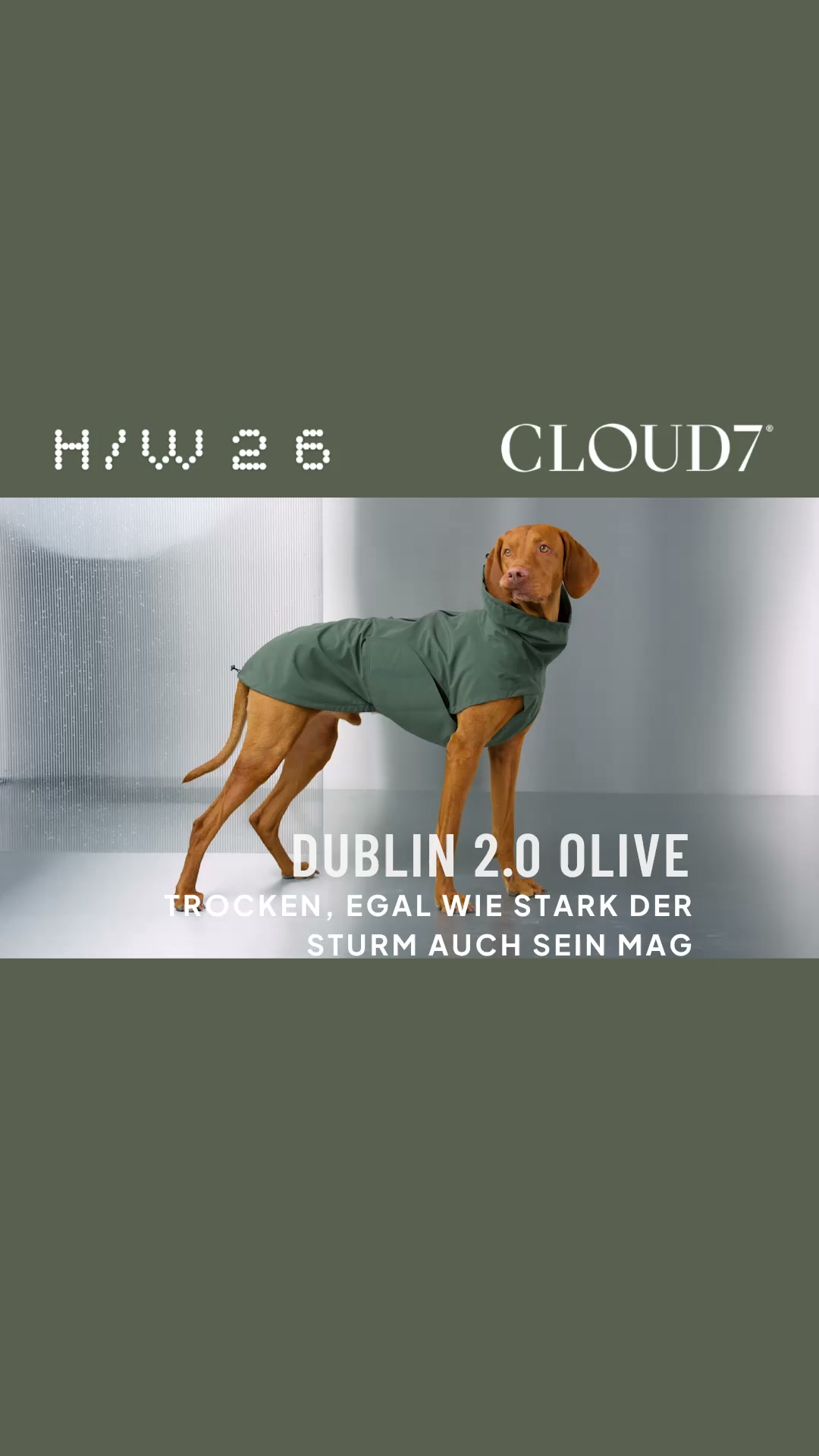Cloud7 Facebook ad: Wetterfest für jeden Hund