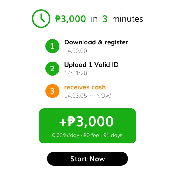 Stout Tswagg Ryan Facebook ad: Meast Cash-online lending app