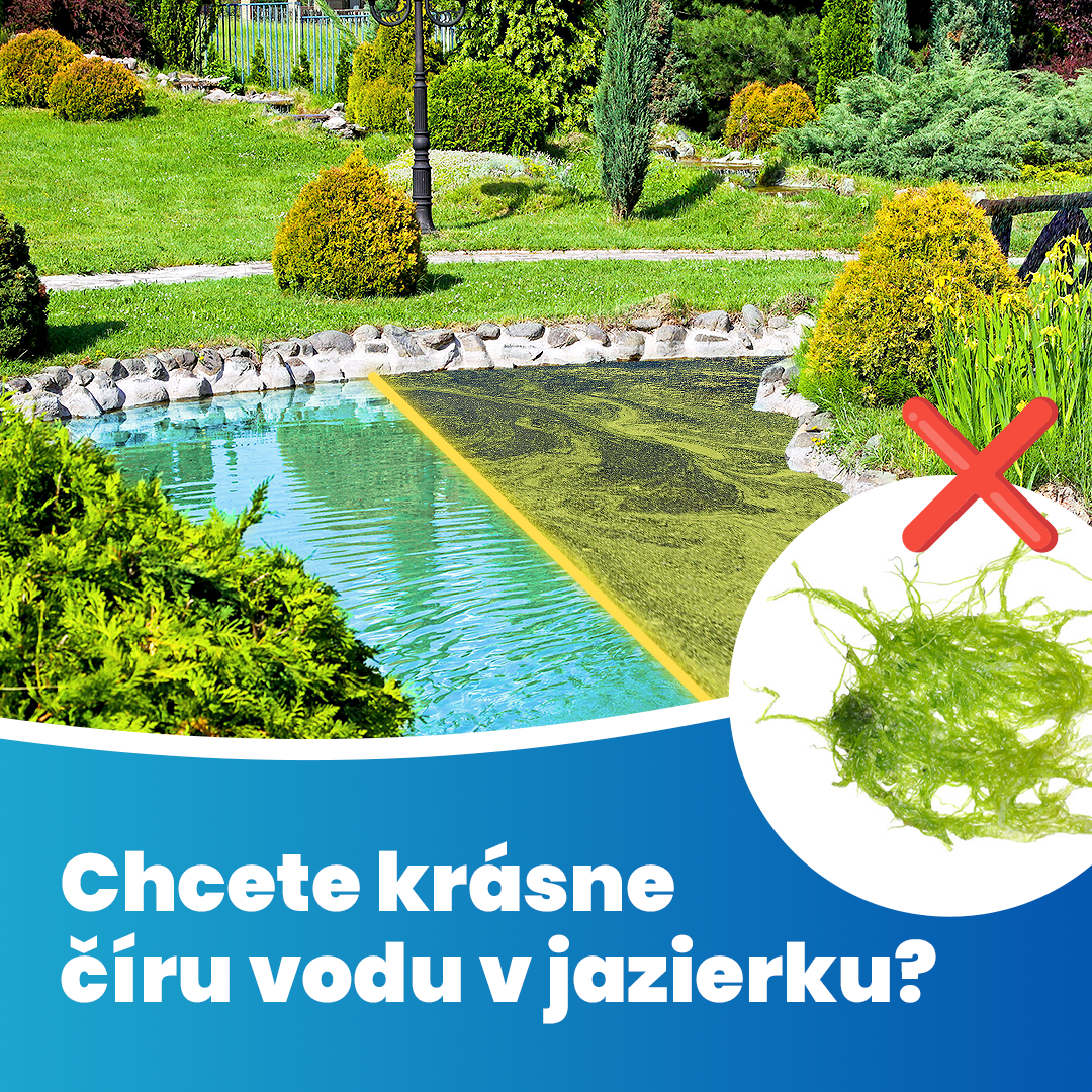 Jezírka Home Pond Facebook ad: Zbavte sa zelenej a zakalenej vody raz a navždy!
