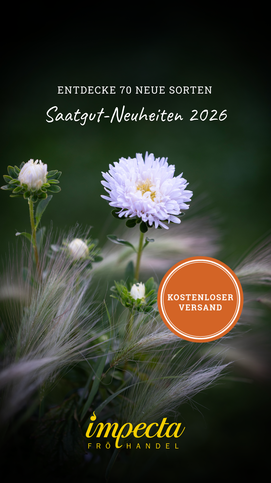 Impecta Fröhandel Europe Facebook ad from Jan 2, 2026