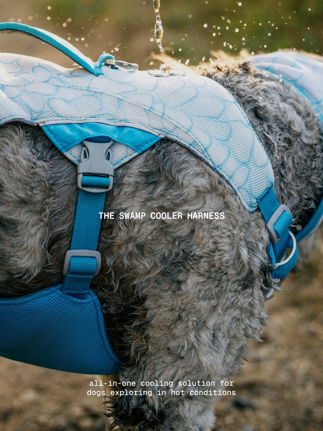 Ruffwear Facebook ad: Summer heat wave?