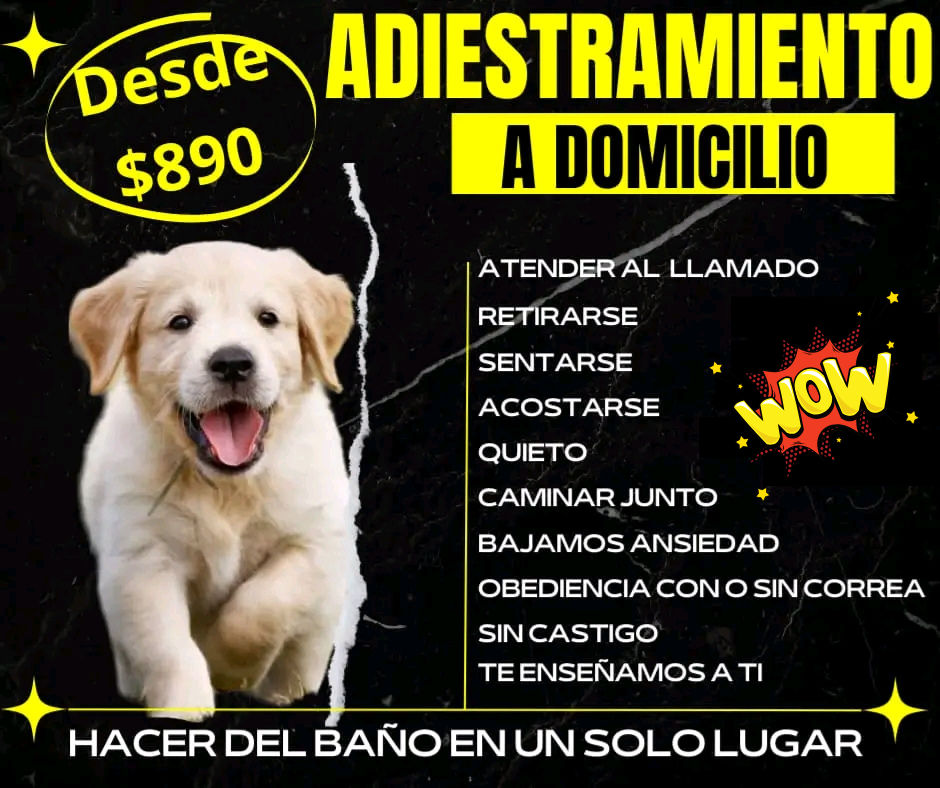 Huellas Adiestramiento Facebook ad: Hace del baño en todos lados?