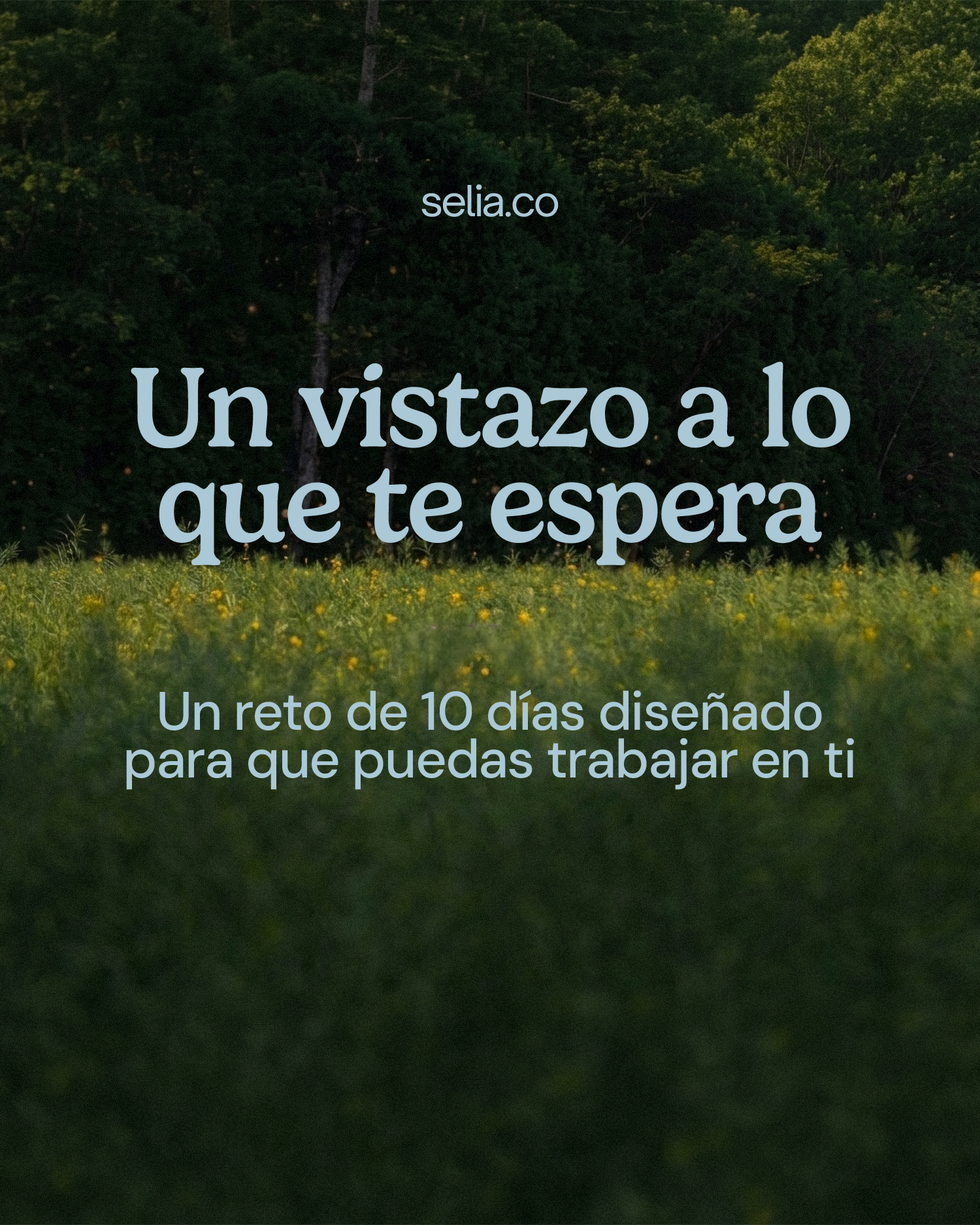 Selia Facebook ad