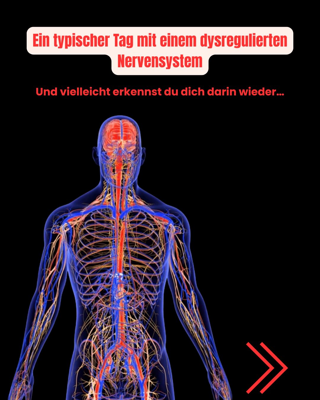 David Renken - Physio- und Schmerztherapeut Facebook ad: Ein Tag mit einem dysregulierten Nervensystem….