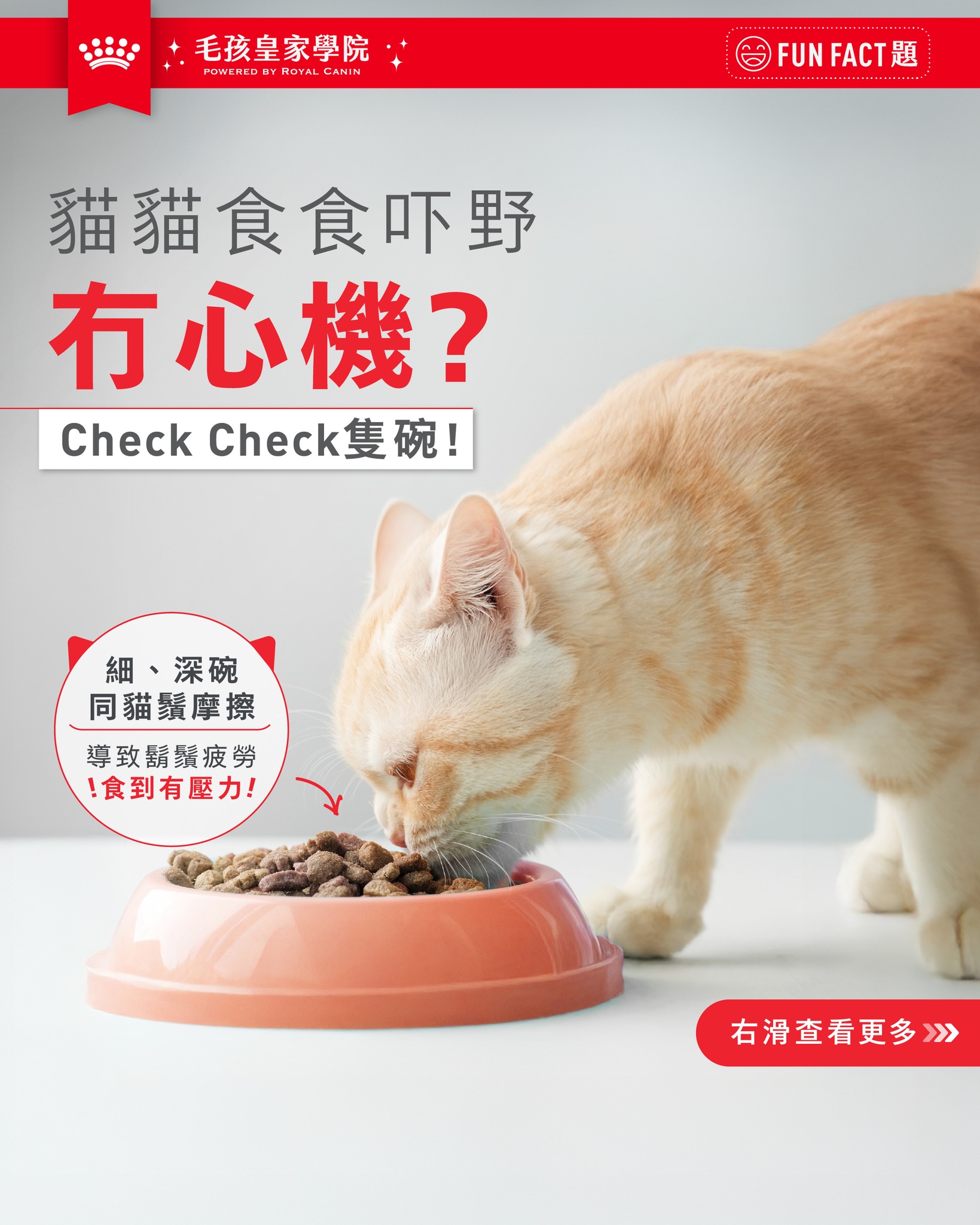 Royal Canin HK Facebook ad: 你隻貓會唔會容易食食吓嘢冇心機,或者無啦啦「送外賣 」將貓糧𢳂出碗外面食?