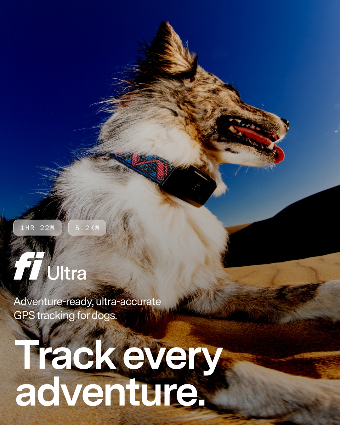 Fi Facebook ad