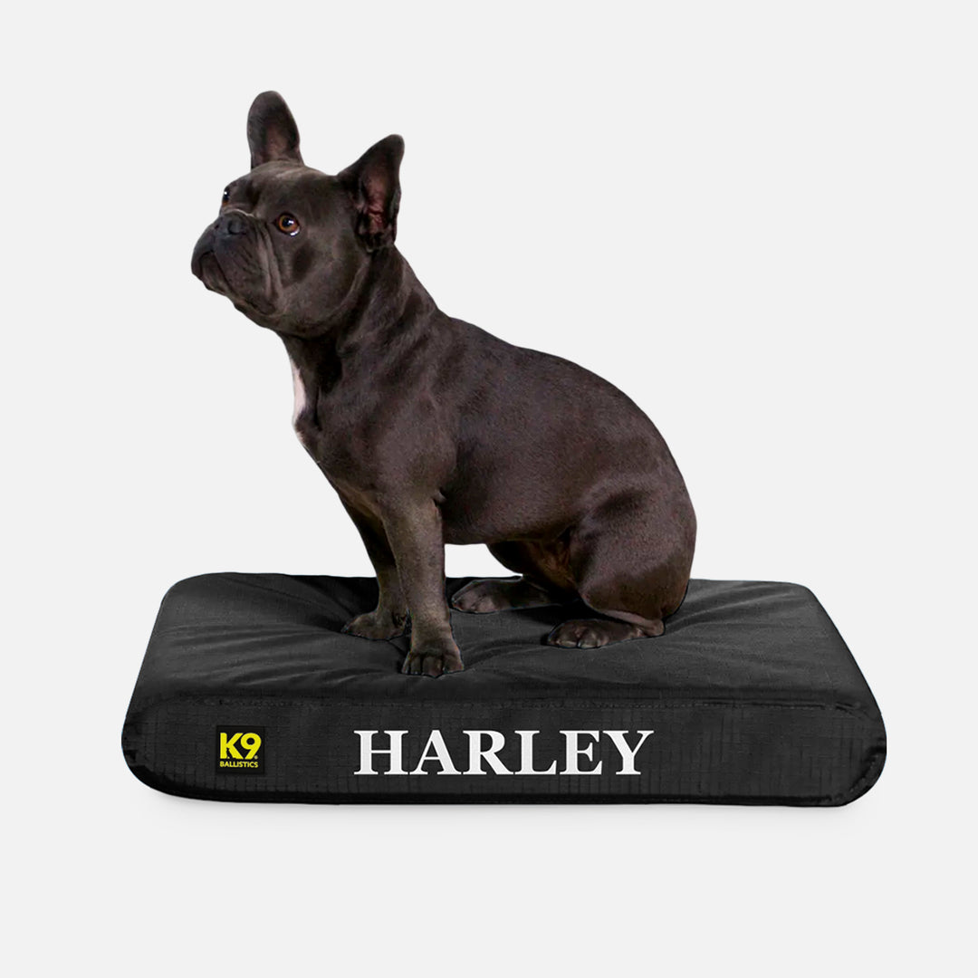 K9 Ballistics Dog Beds Facebook ad