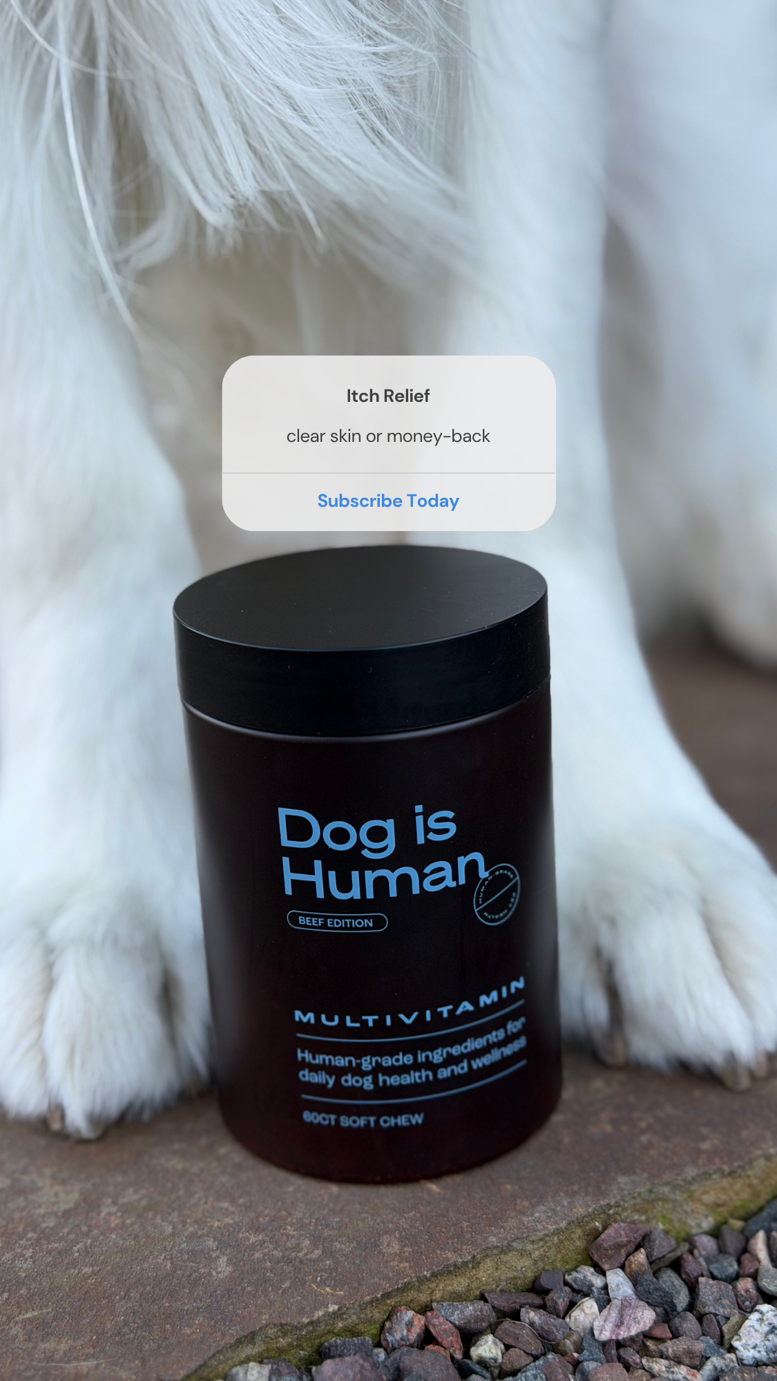 Dog is Human Facebook ad