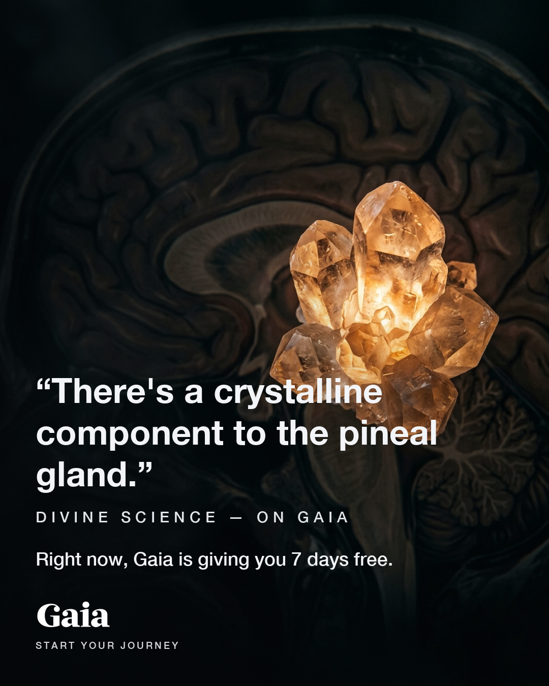 Gaia Facebook ad