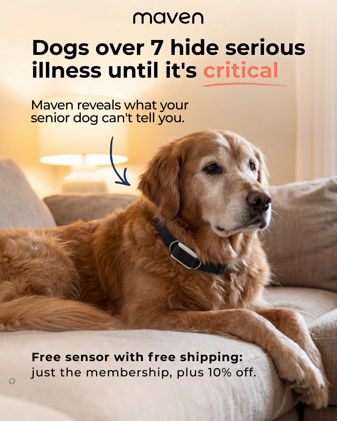 Maven Pet Facebook ad