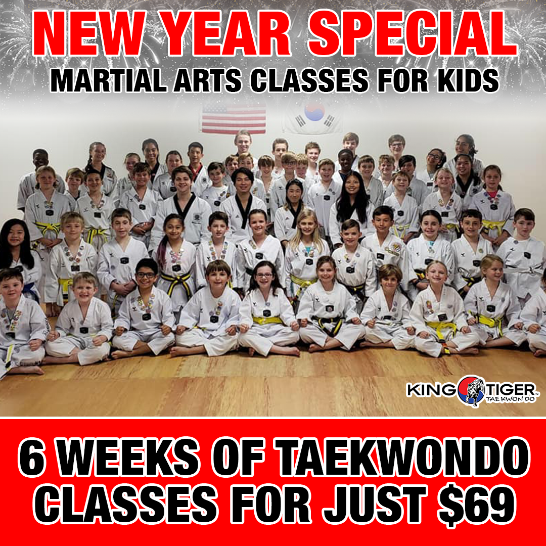 King Tiger Tae Kwon Do Lake Norman Facebook ad