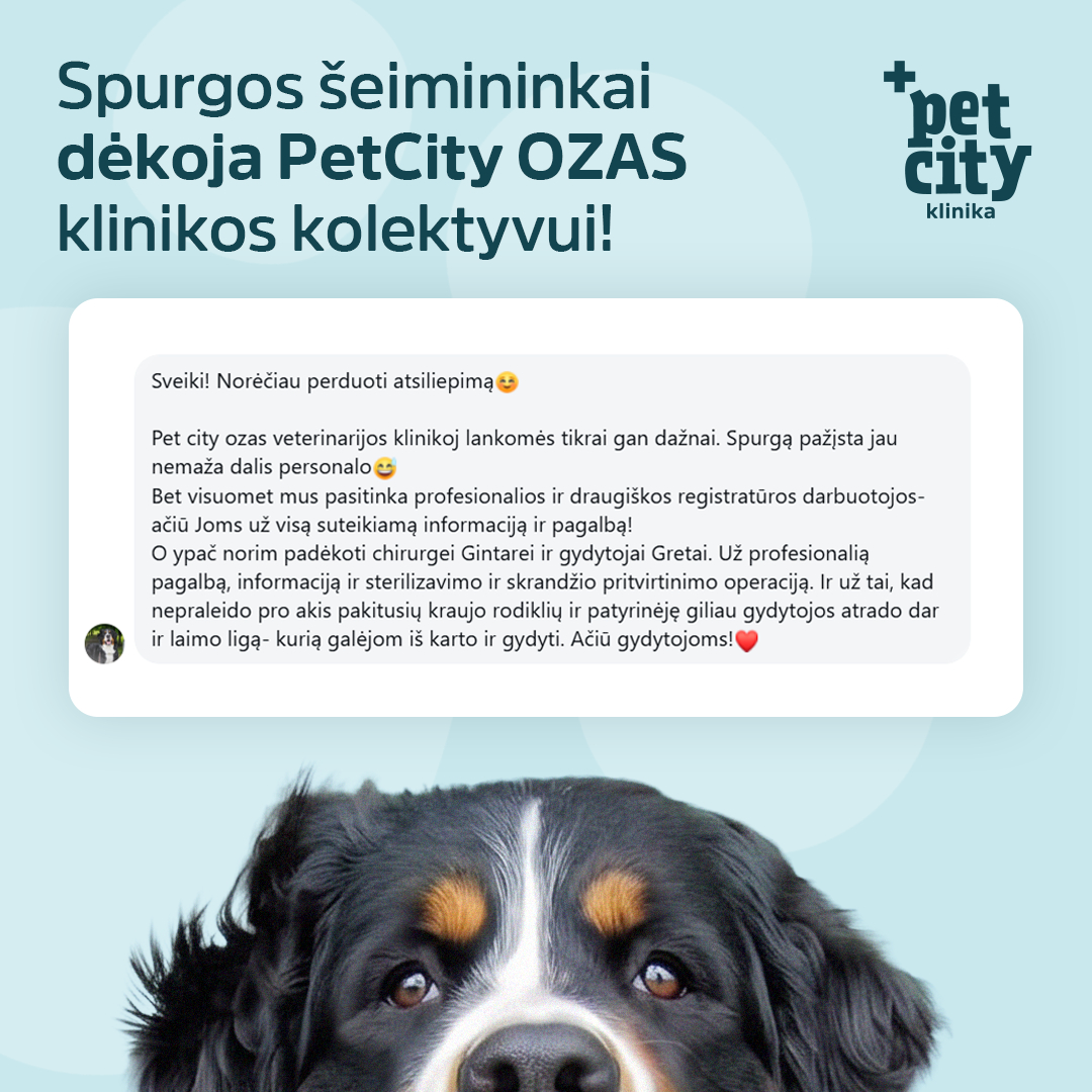 PetCity Lietuva Facebook ad