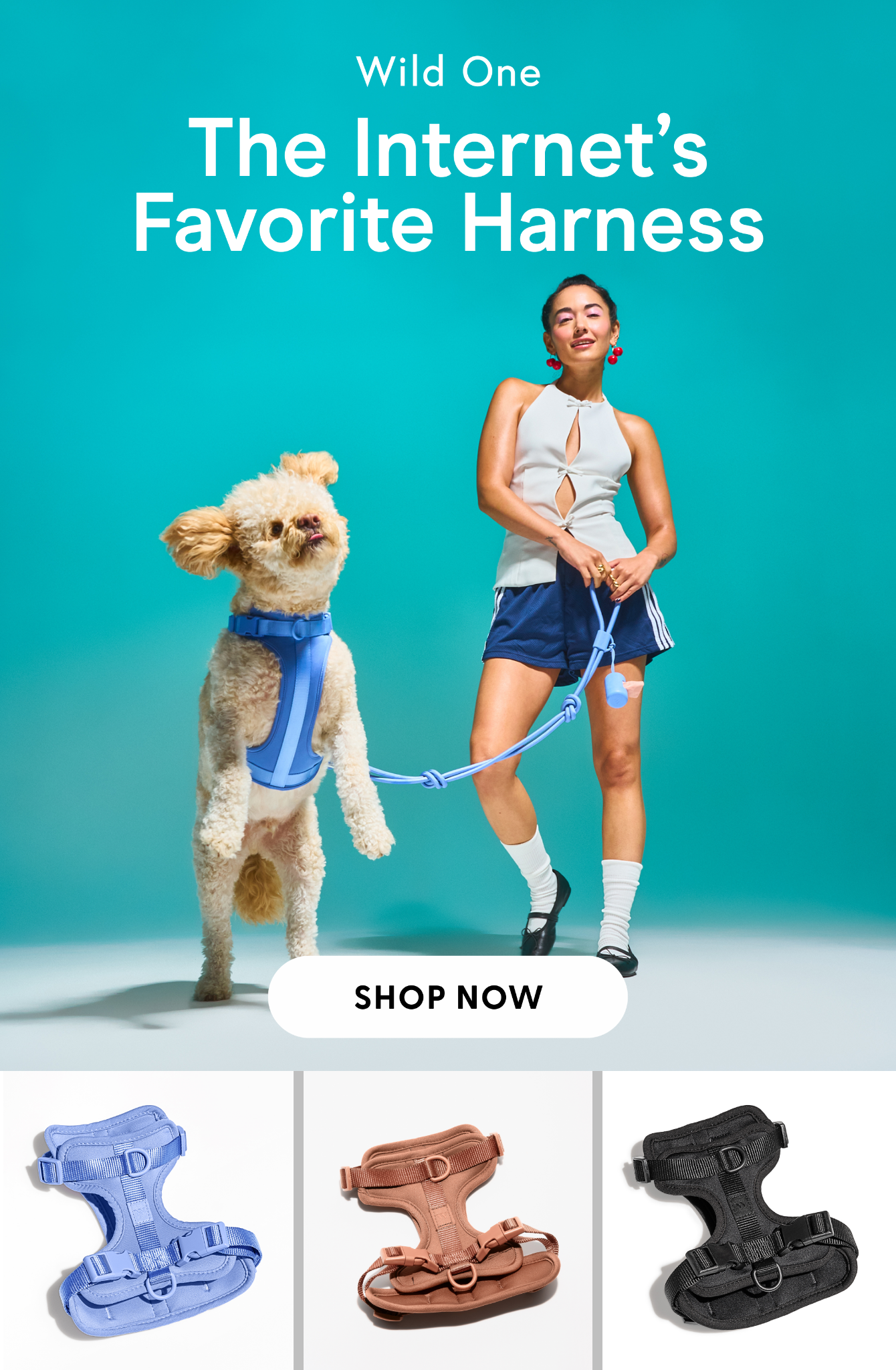 Wild One Facebook ad