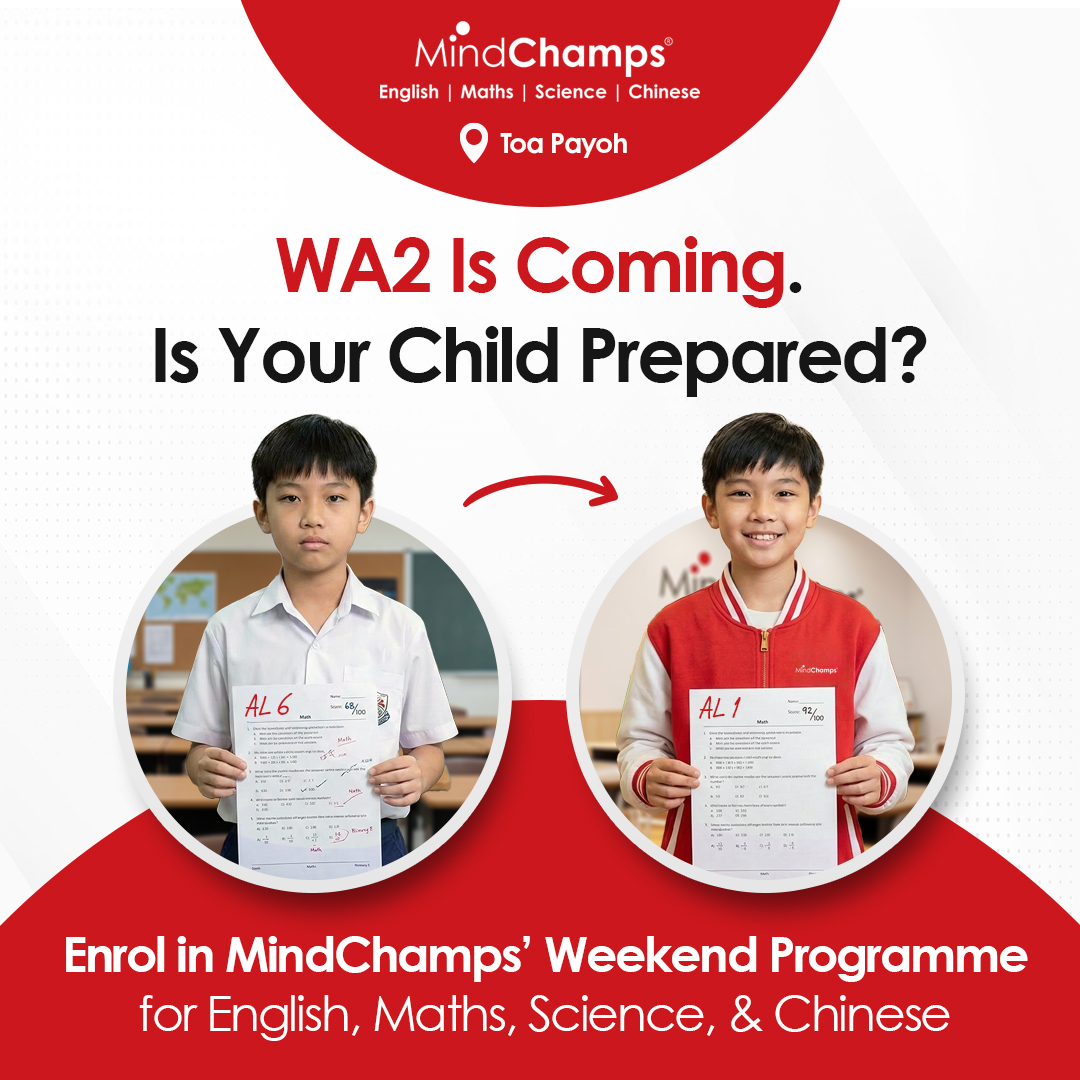 MindChamps Enrichment Facebook ad