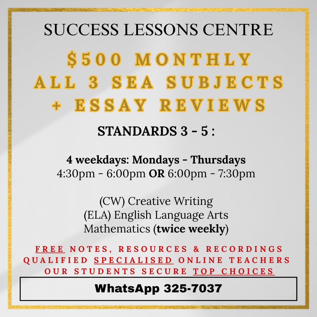 Success Lessons Centre Facebook ad