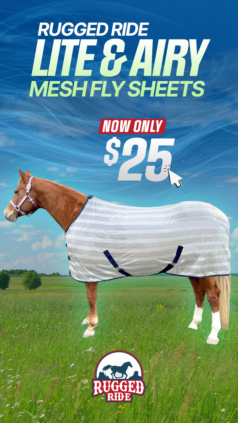 ChickSaddlery.com Facebook ad