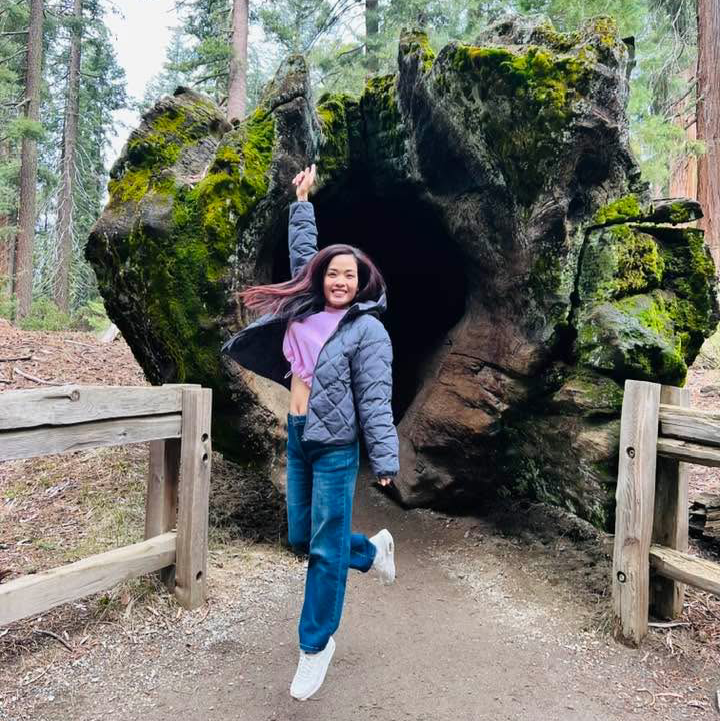 Thanh Travels Facebook ad