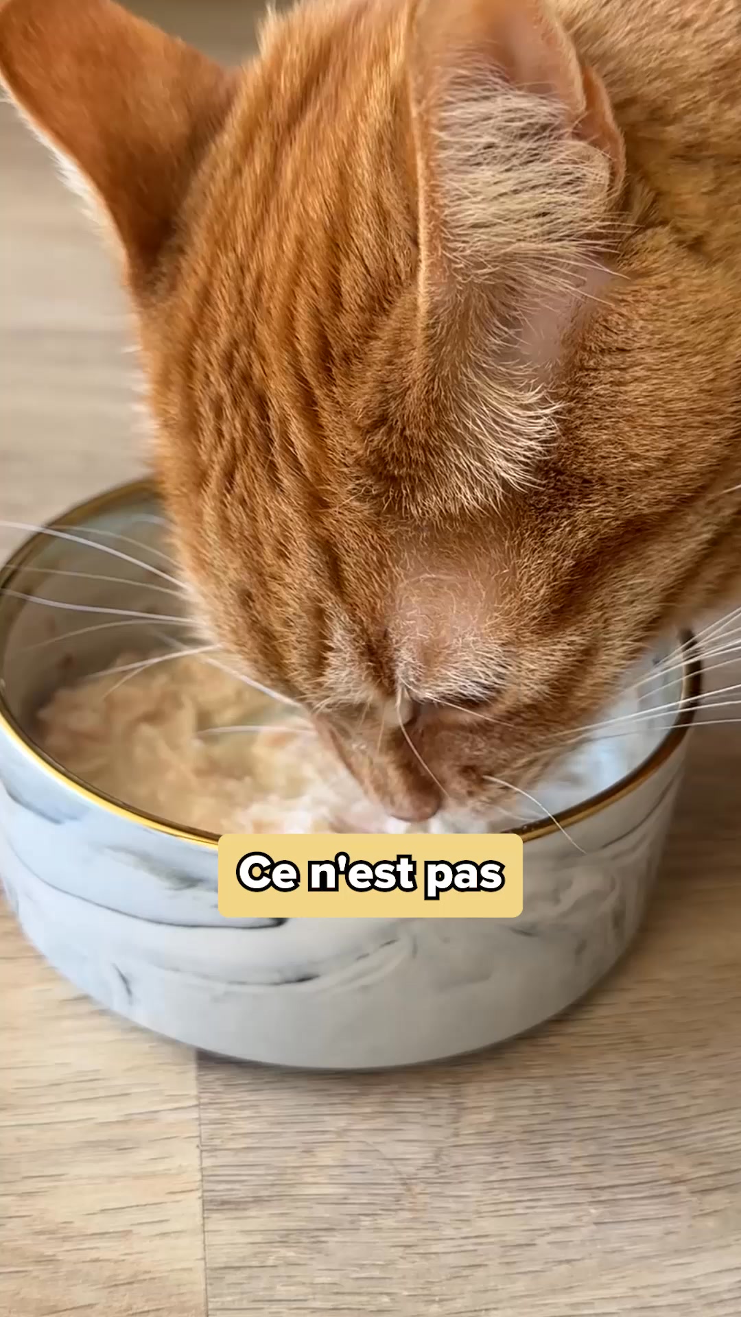 Franklin Pet Food Facebook ad: Nouvelle gamme de filets!