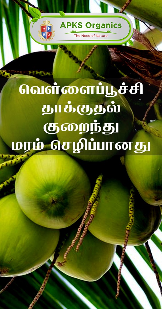 APKS Organics Tamil Facebook ad