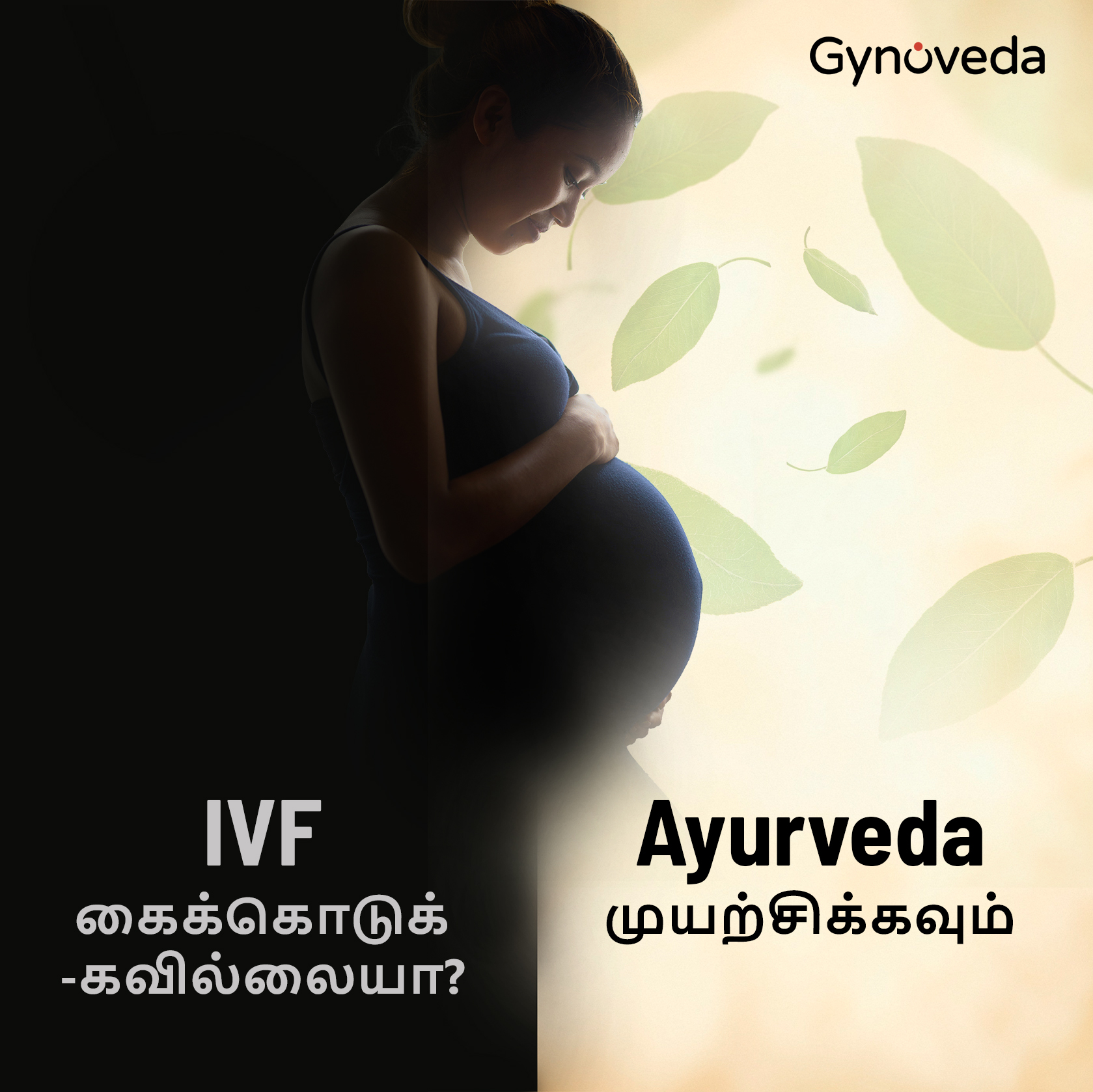 Gynoveda Chennai Facebook ad