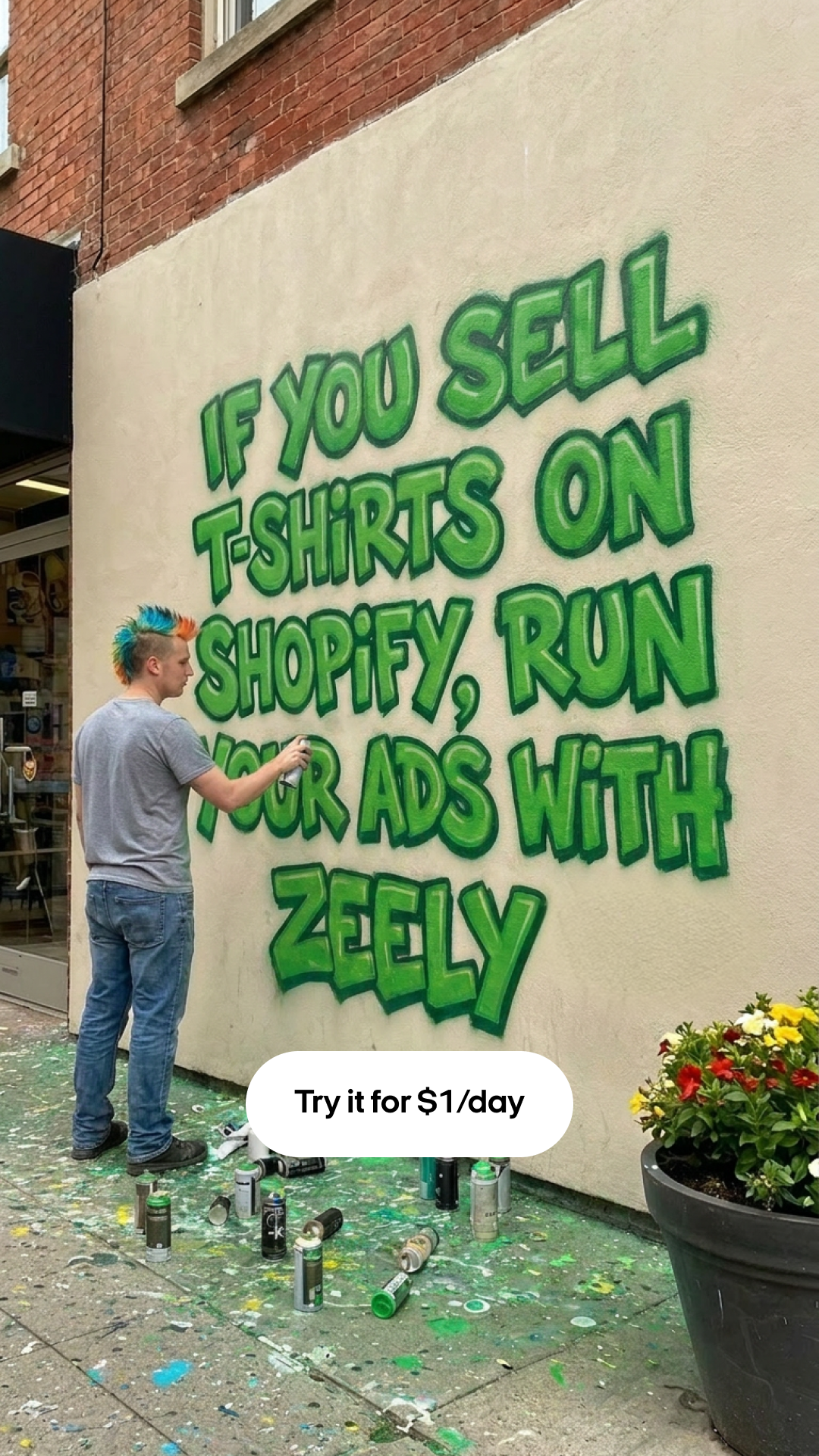Zeely Facebook ad