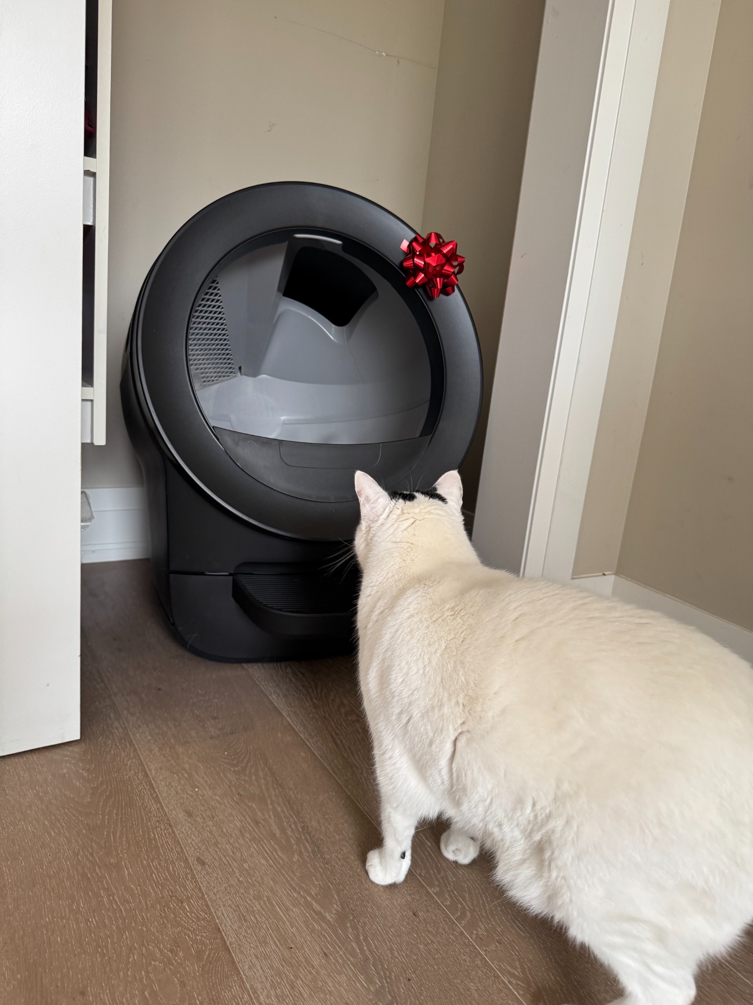 Litter-Robot by Whisker Facebook ad