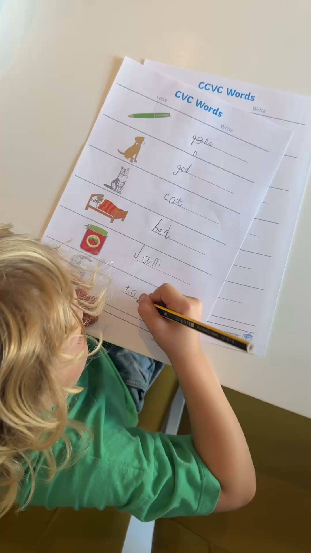 Twinkl Family Facebook ad: Your home learning companion