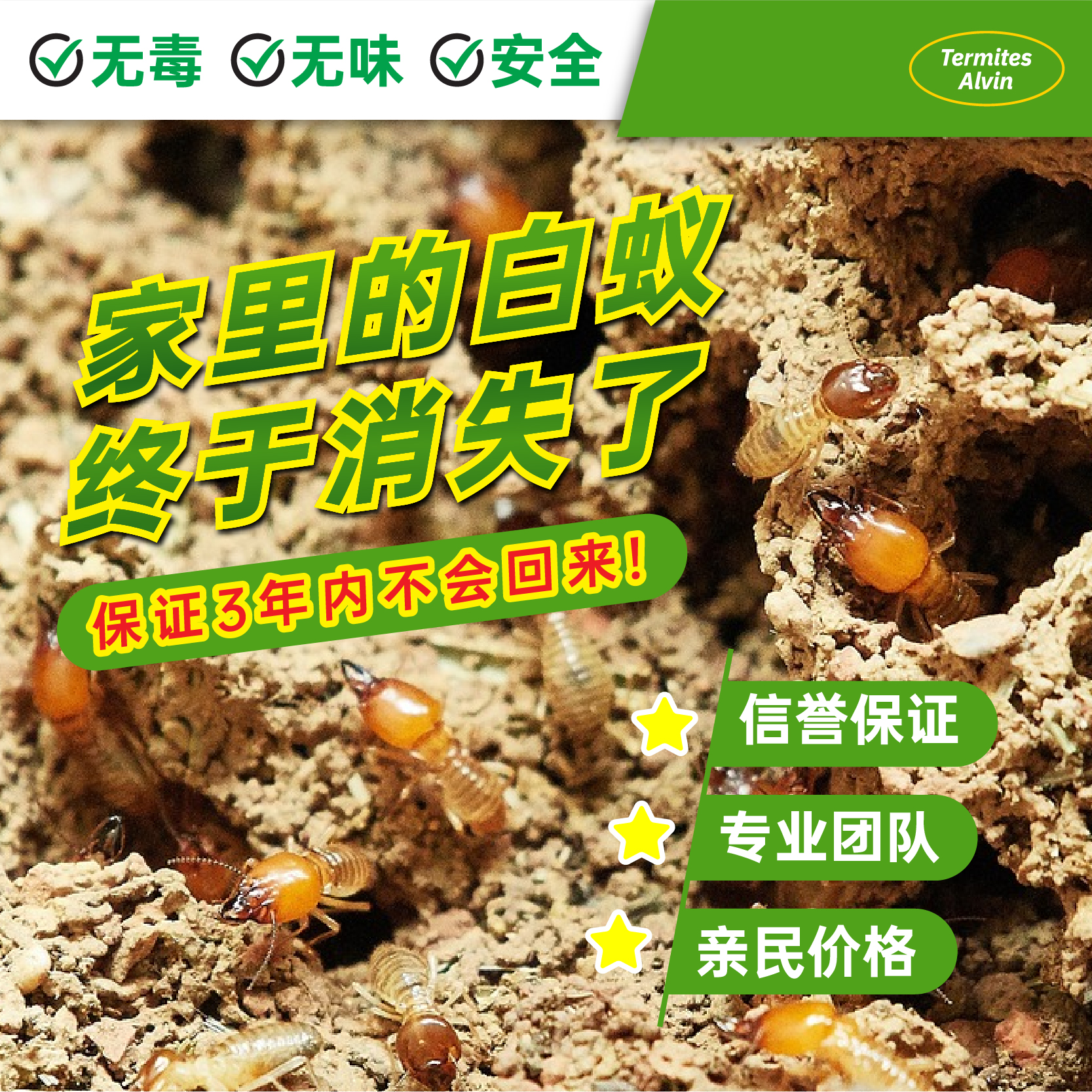 Termites Alvin Pest Control Penang Facebook ad: 找到了Alvin Termite 团队, 终于不用担心 问题, 不用钻洞什么的, 只是把小小的环保诱饵放在我家里…