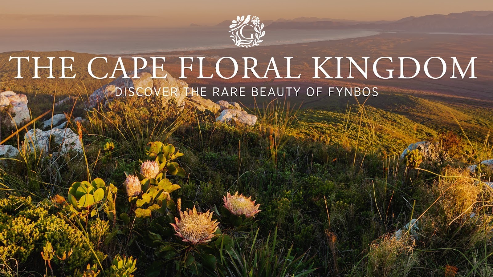 Grootbos Private Nature Reserve Facebook ad from Dec 20, 2024