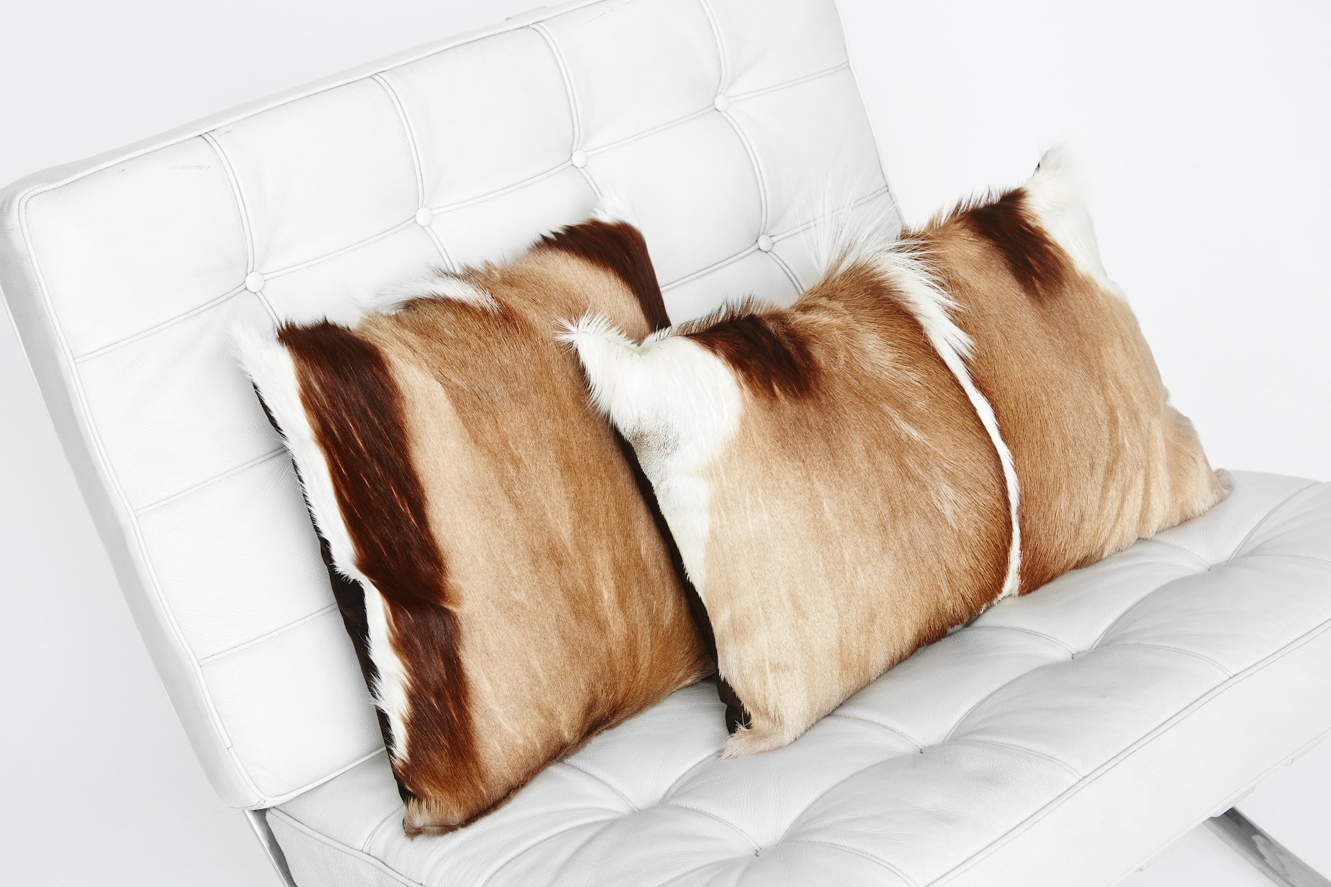 GK Furs Facebook ad: End of Season Sale!
