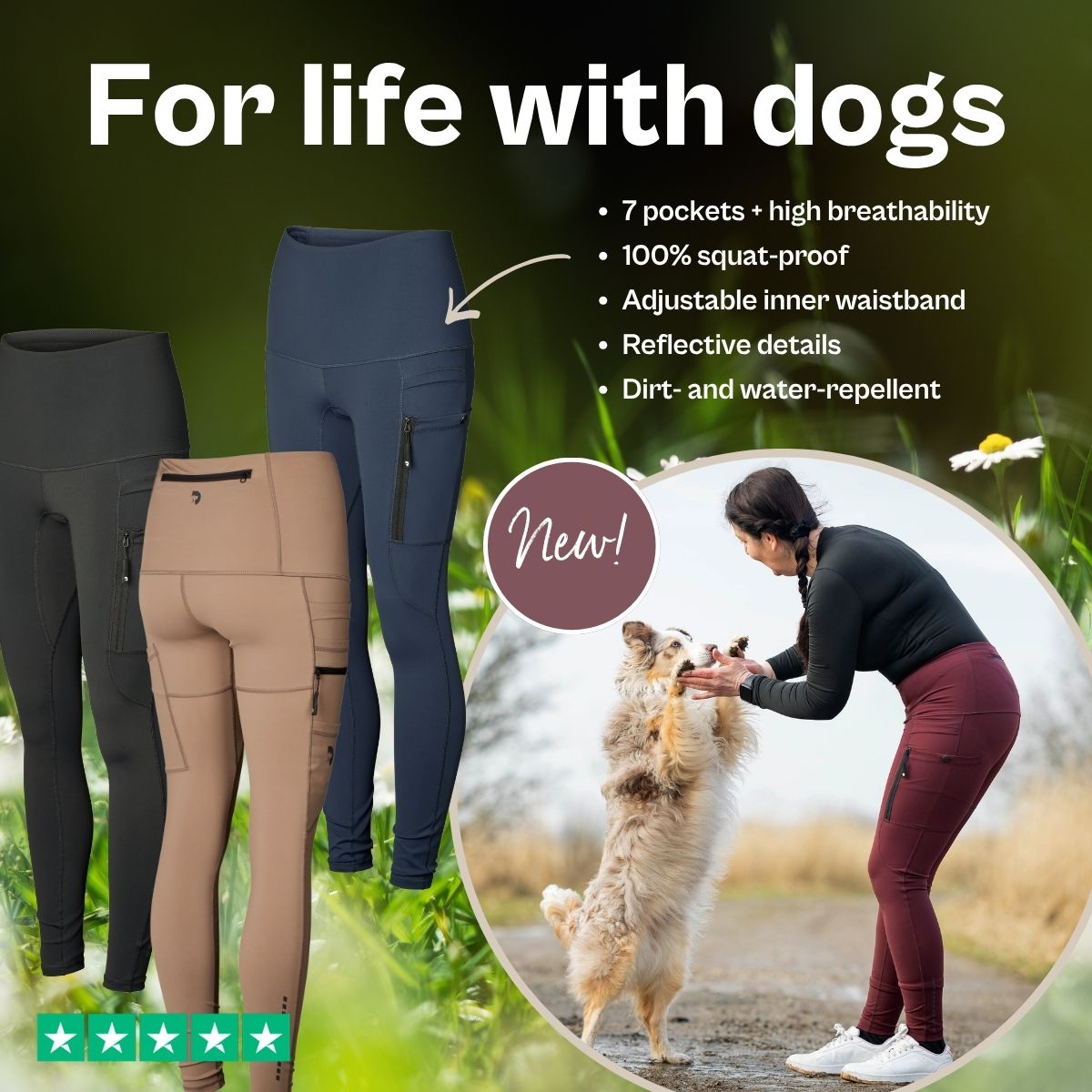 DogCoach Facebook ad