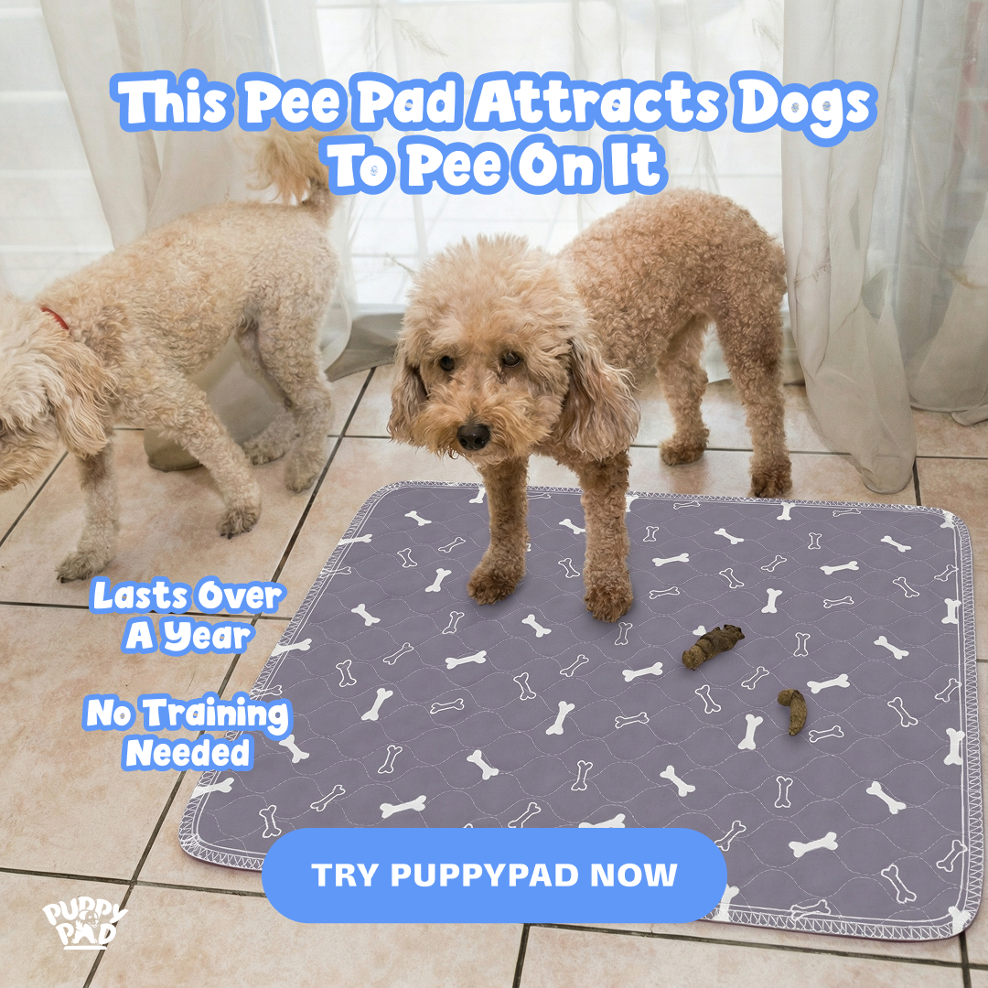 PuppyPad Facebook ad