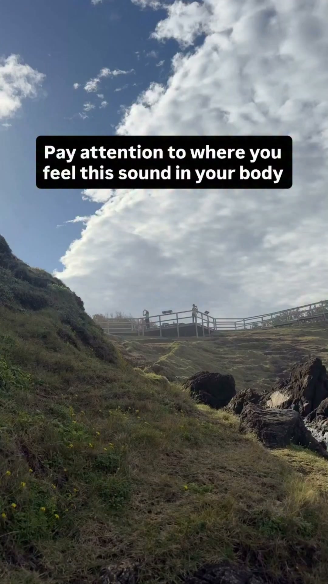 Banah Winn Facebook ad: This sound will reset your nervous system in 12 seconds