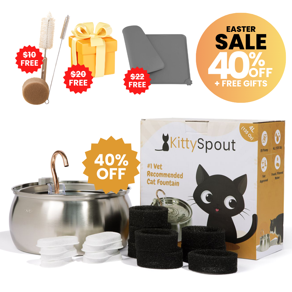 KittySpout Facebook ad
