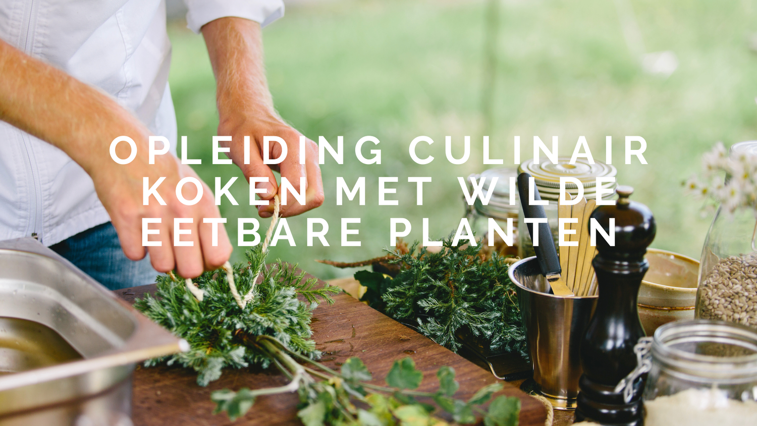 Forest To Plate Facebook ad: Opleiding Culinair Koken met Wilde Eetbare Planten |…