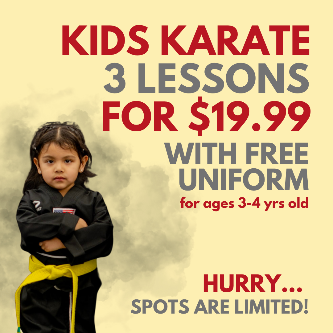 AmeriKick Martial Arts - Staten Island Facebook ad