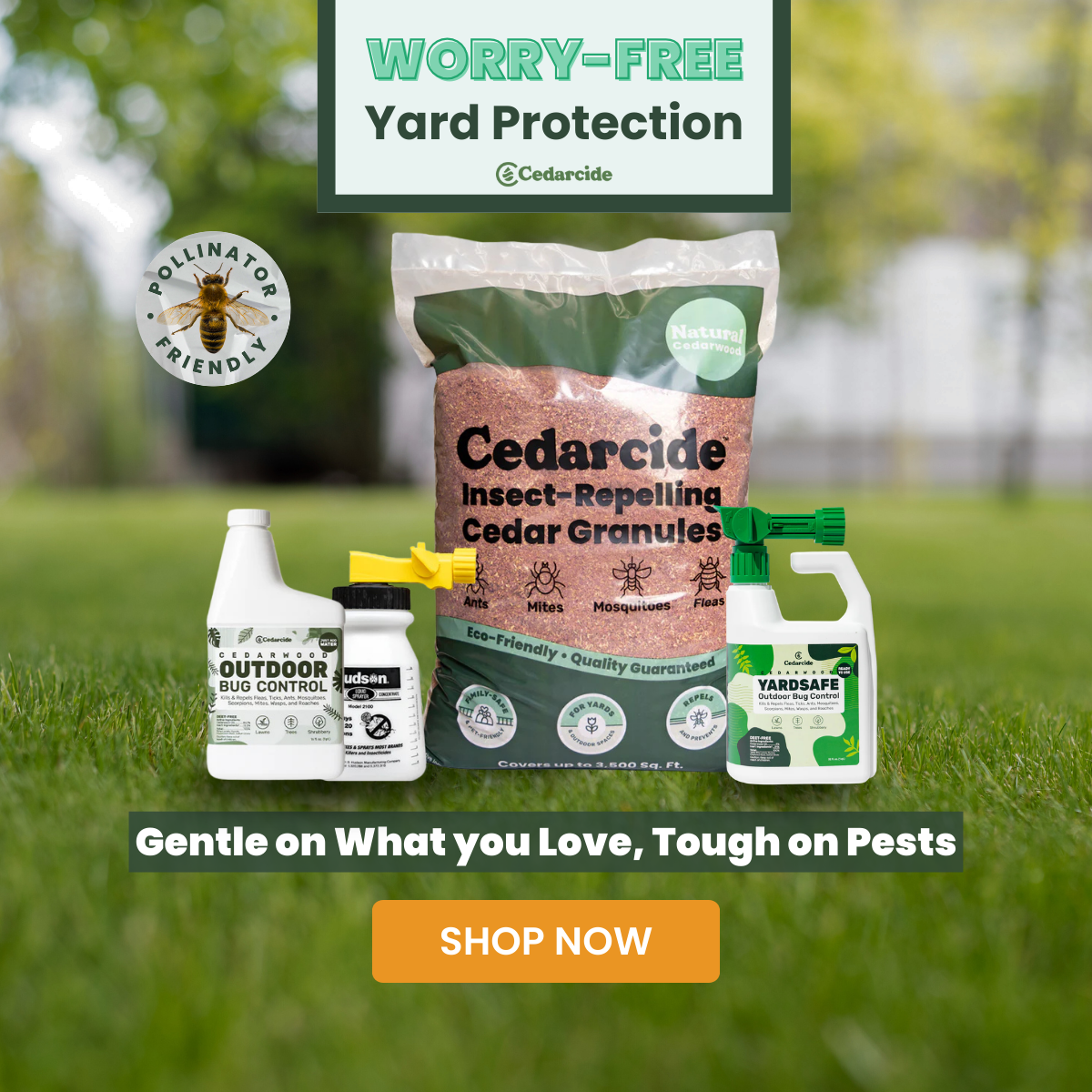 Cedarcide Facebook ad