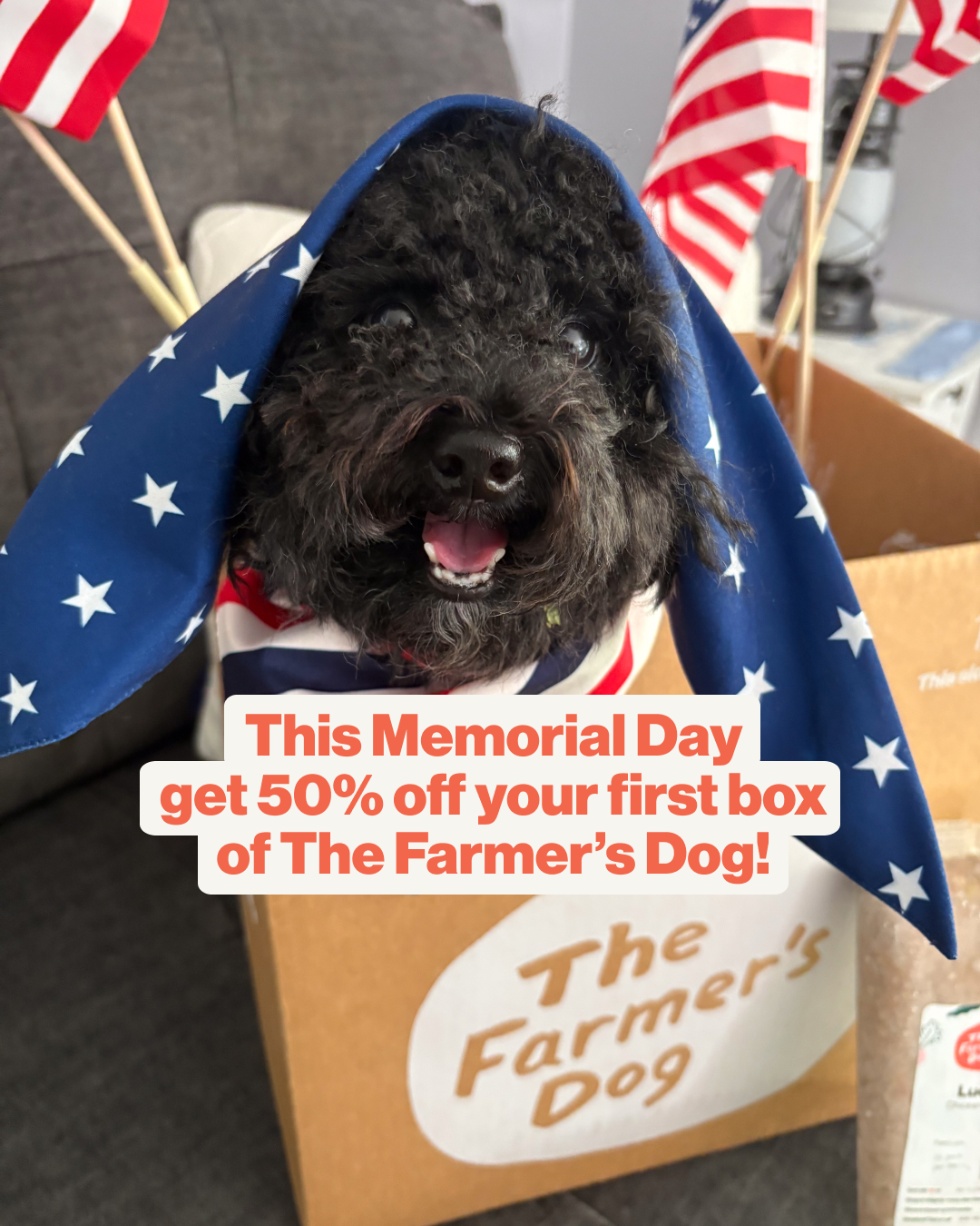 The Farmer's Dog Facebook ad