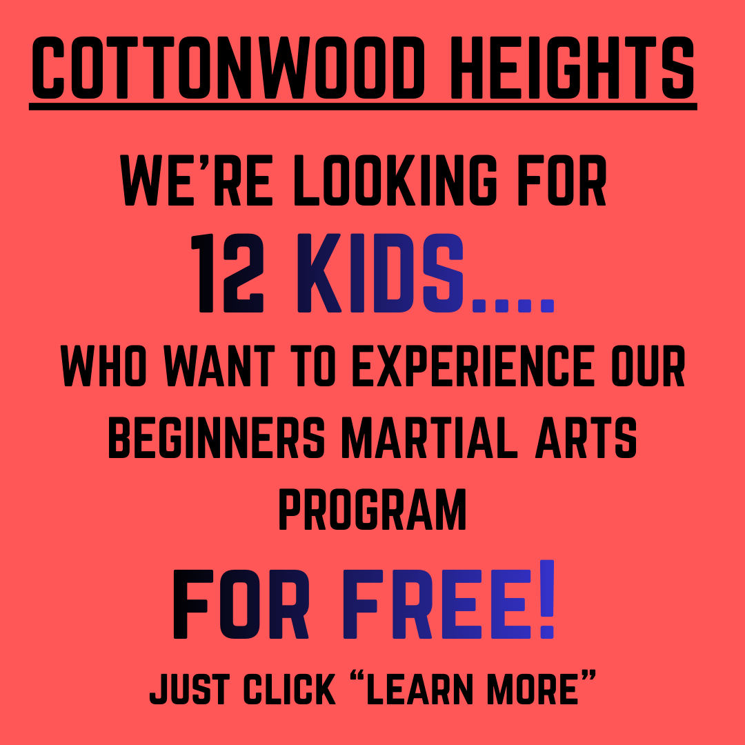Echo Martial Arts Facebook ad: 7-Day Free Trial Martial Arts + Free T-shirt